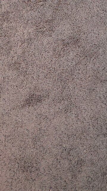 secondary and primary category test