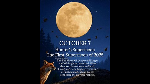 Alberta 51st state coming up! 🤠ALBERTA INDEPENDENCE UPDATE! Follow @MikeJaco