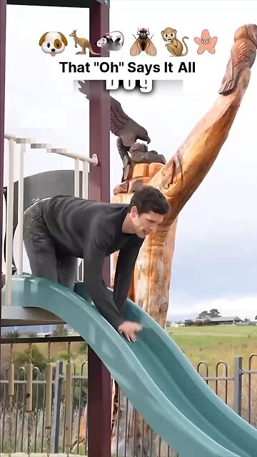 How different animals go down a slide part 2 🛝😂😂