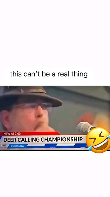 what the hell is going on 😂