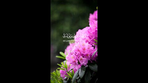 🔥 Surah Nuh 71:28 سورة نوح 🌧️🤲💖 #Quran #shorts #viral #love #youtubeshorts #trending #shortvideo