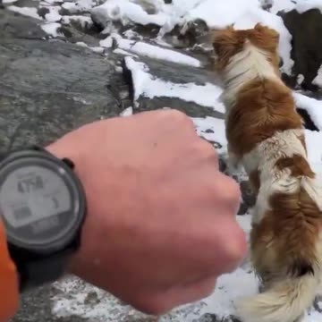 A British tourist lost 15,000ft up in Peruvian mountains describes how a stray ...