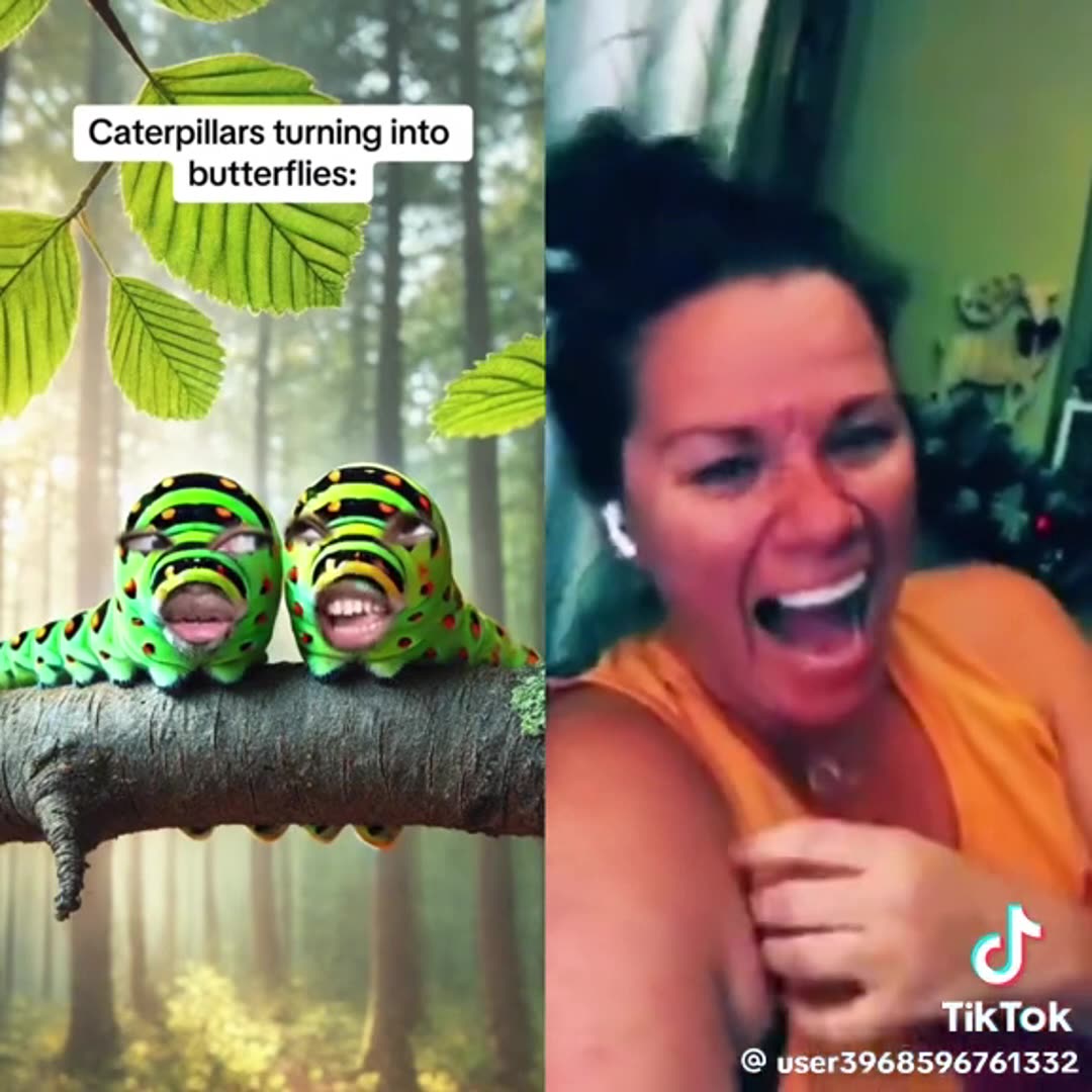People Talk About Caterpillars Becoming Butterflies – IQPCW