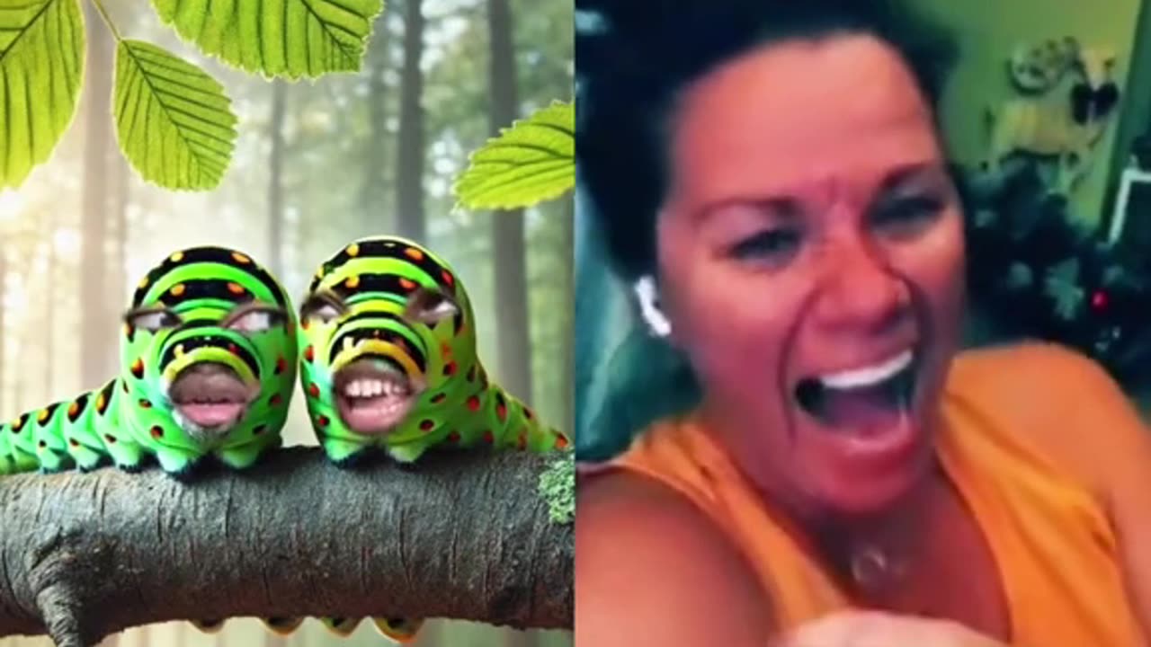 Caterpillars turning into butterflies