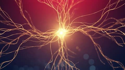 The Forgotten Melodies of India: Inside the World of Mystical Flutes