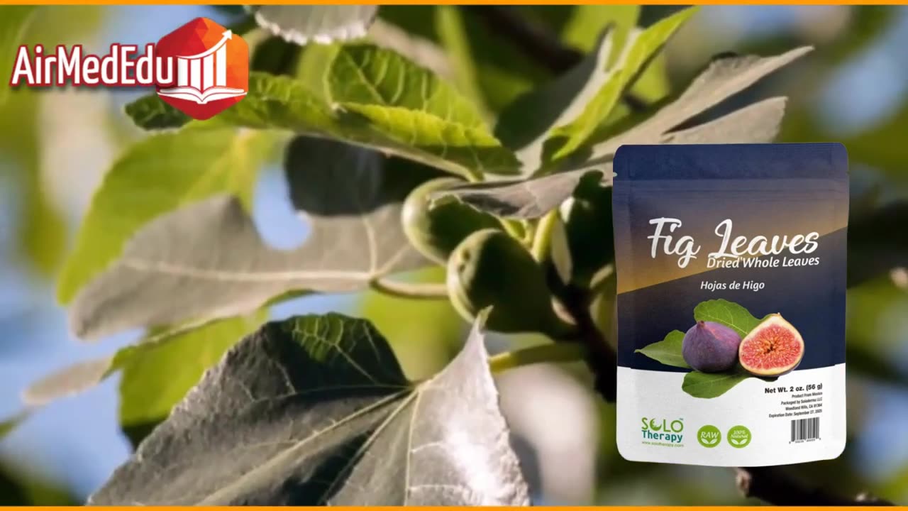 27 fig leaf tea benefits