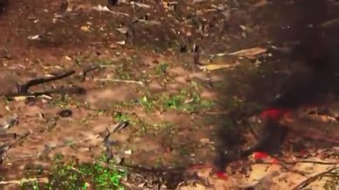 Massive explosion at Energetic Systems in Bucksnort, Tennessee