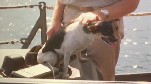 WPB IN VIET NAM CAT LO - WPB IN VIET NAM CAT LO - 428-npc-38316