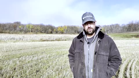 Canadian farmers defy dire climate scenarios with adaptation strategies