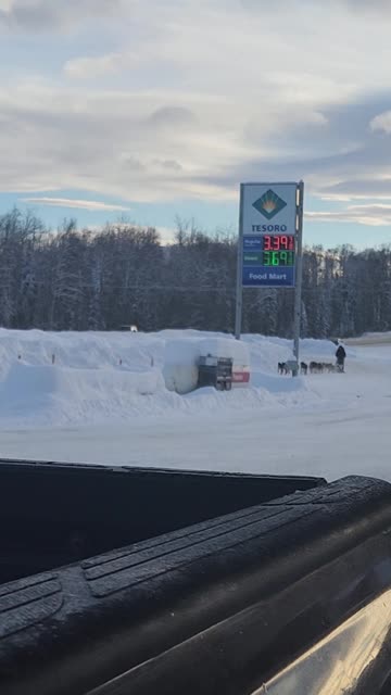 Dogsled Team Doesn't Need to Stop for Fuel