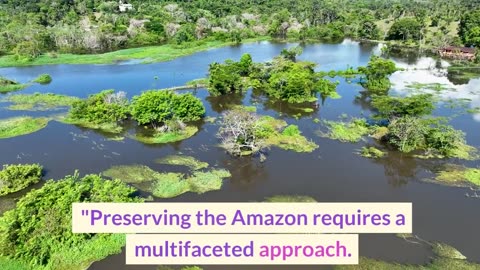 Bio diversity of the Amazon Rainforest