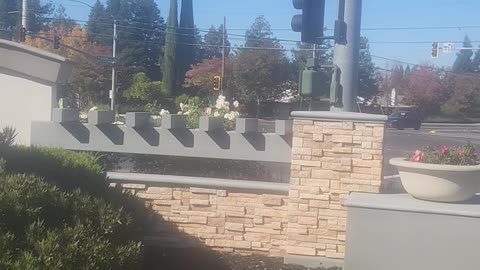 Open air one person protest, Elk Grove California Part 2