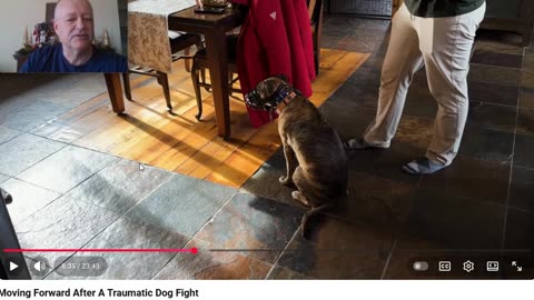 Miracle K9 - How to Move Forward after a Dog Fight Situation - Pt 3