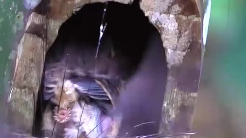 Not just moves, it’s a strategy 💯