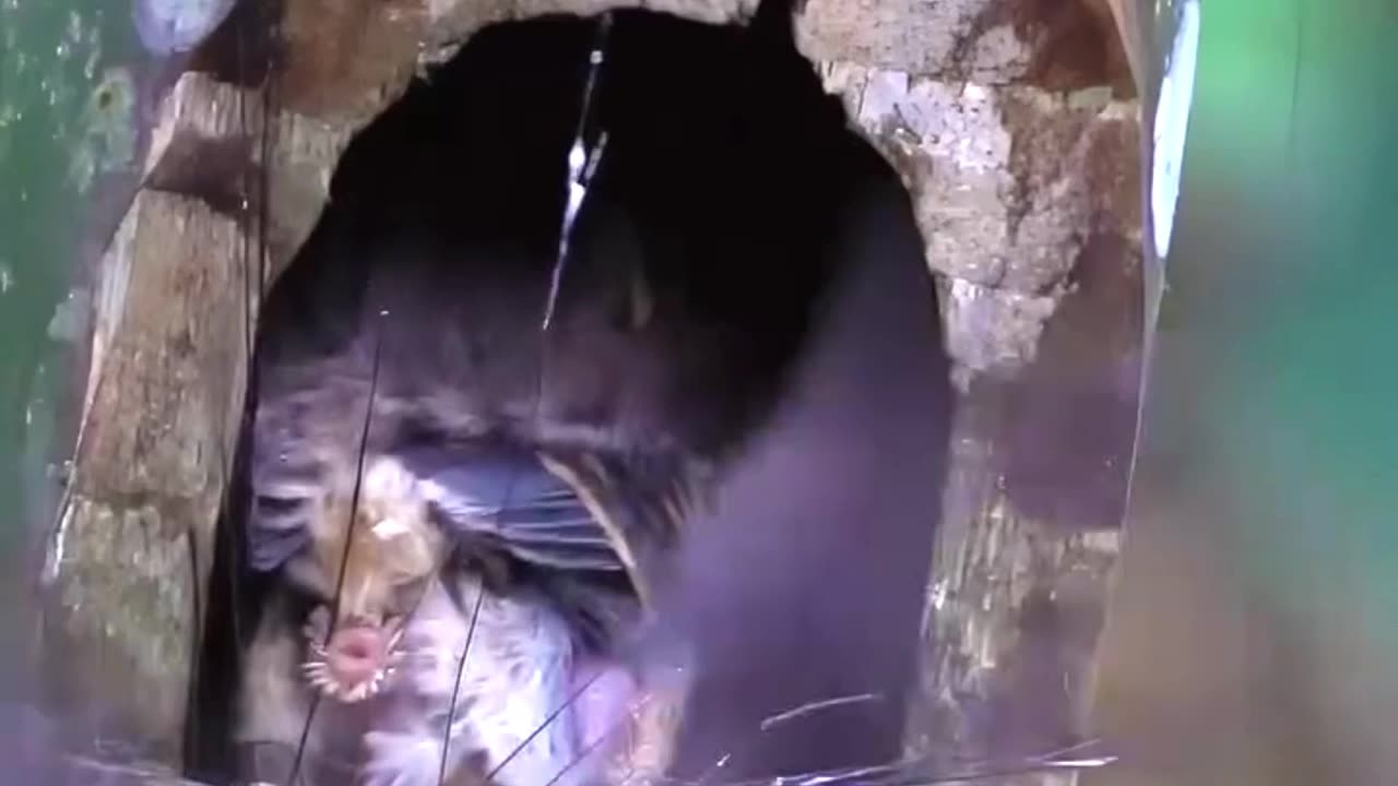 Not just moves, it’s a strategy 💯