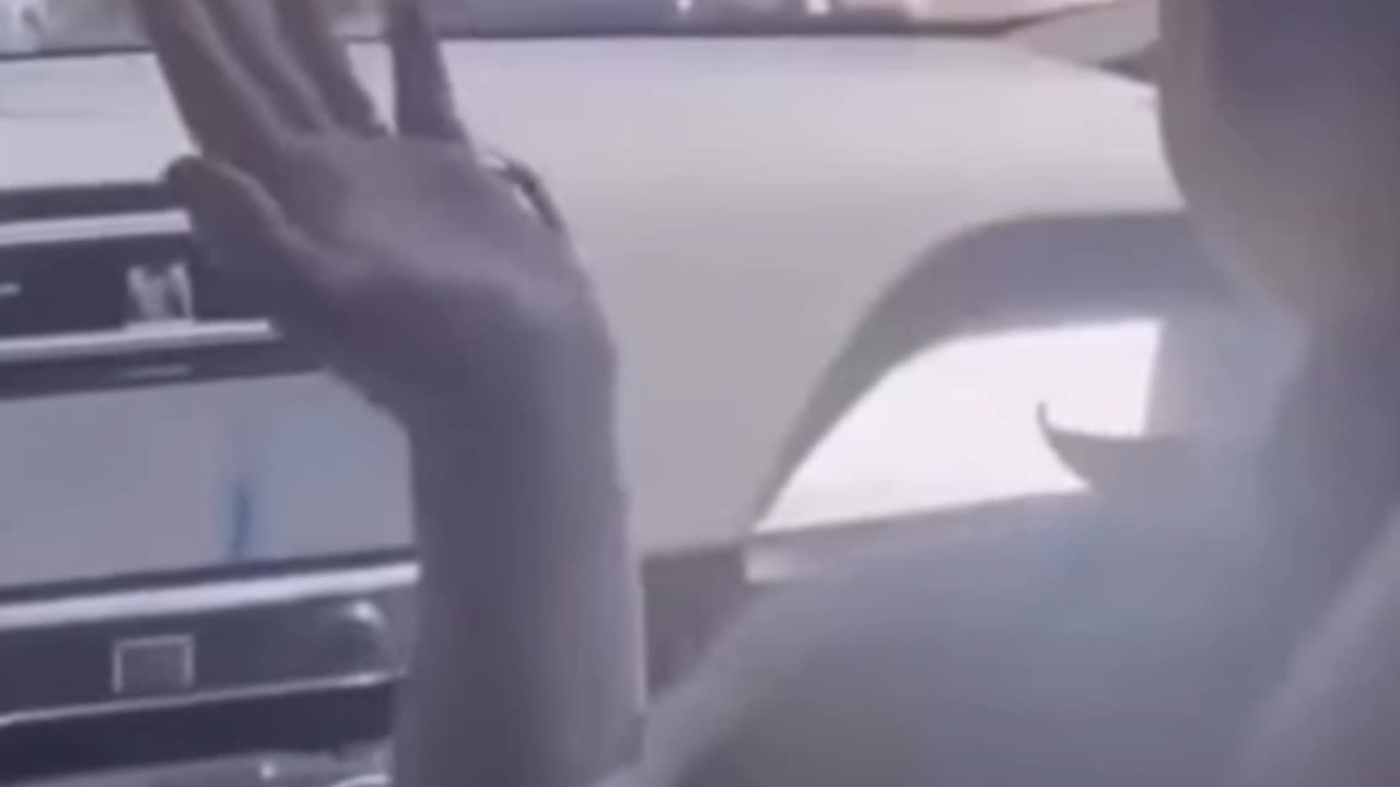 Self driving car Service, why would you want to be a guinea pig to this new technology?