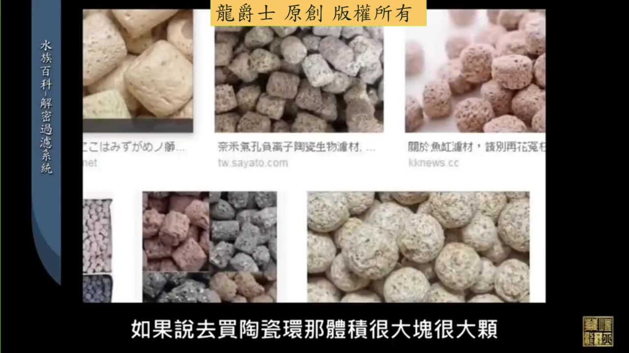 【龍爵士】水族百科 解密魚缸過濾系統