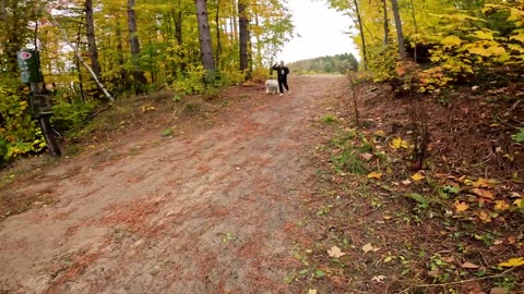 🚶2024🍁 Hiking 4 Different Trails In The Greenbelt Of Ottawa & Exploring The Nature In Every Season 💦 Canada 🍀🍃