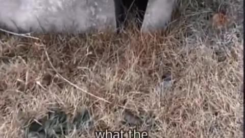 👻😱 Scary Encounter Caught on Camera! GhostlyToksa | TheHauntingHour