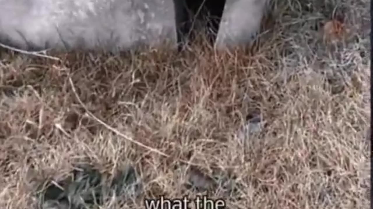 👻😱 Scary Encounter Caught on Camera! GhostlyToksa | TheHauntingHour