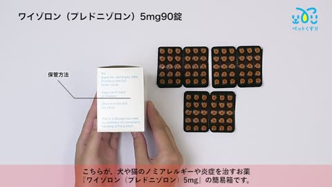 ワイゾロン（プレドニゾロン）5mg90錠