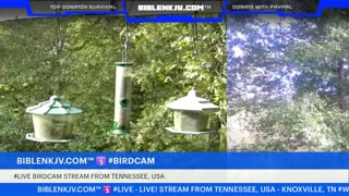 BIBLENKJV.COM™ 🛐 10/10/2025 #LIVE #WEATHER #KNOXVILLE