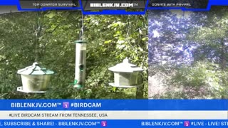 BIBLENKJV.COM™ 🛐 10/10/2025 #LIVE #WEATHER #KNOXVILLE