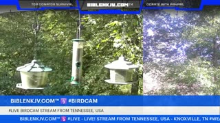 BIBLENKJV.COM™ 🛐 10/10/2025 #LIVE #WEATHER #KNOXVILLE