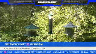 BIBLENKJV.COM™ 🛐 10/10/2025 #LIVE #WEATHER #KNOXVILLE