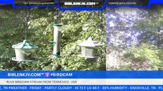 BIBLENKJV.COM™ 🛐 10/10/2025 #LIVE #WEATHER #KNOXVILLE