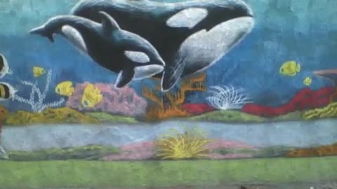 2 orcas painted on the street wall, there's other fish, bottom of the sea like [Nature & Animals]