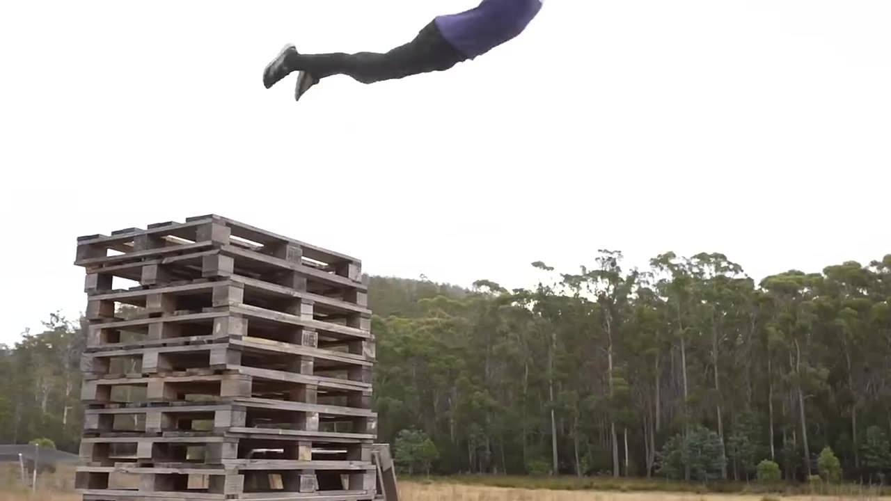 How different animals take fall damage. Part 2