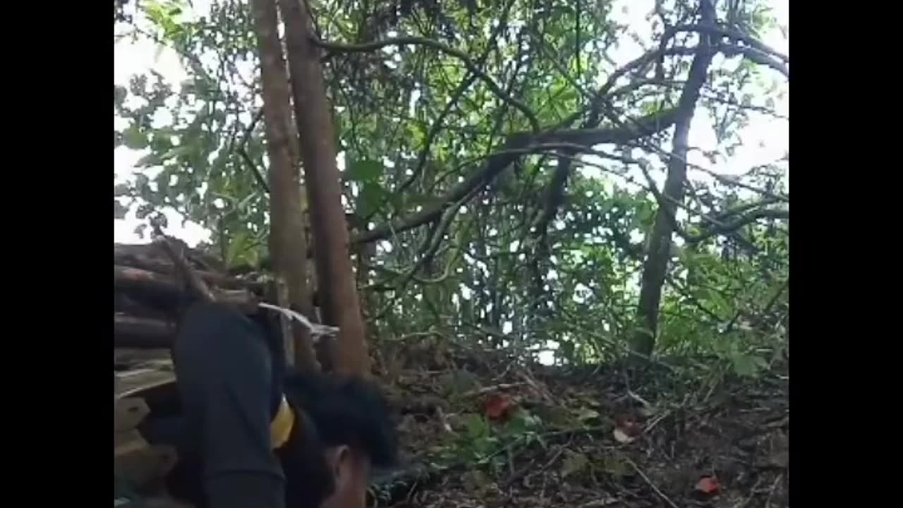 🌿💥 Myanmar War | PDF Forces Clash with Junta Troops on Dawei Road | RCF