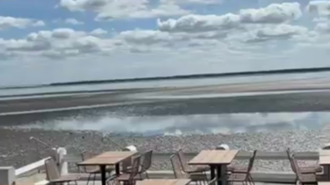 Ile d'Oleron: The French Island's Wine Treasure!