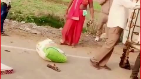 Fare Dispute Turns Brutal: Bus Conductor Thrashes Woman on Road as Child Cries in Shivpuri