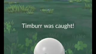 Pokémon GO-Shadow Timburr