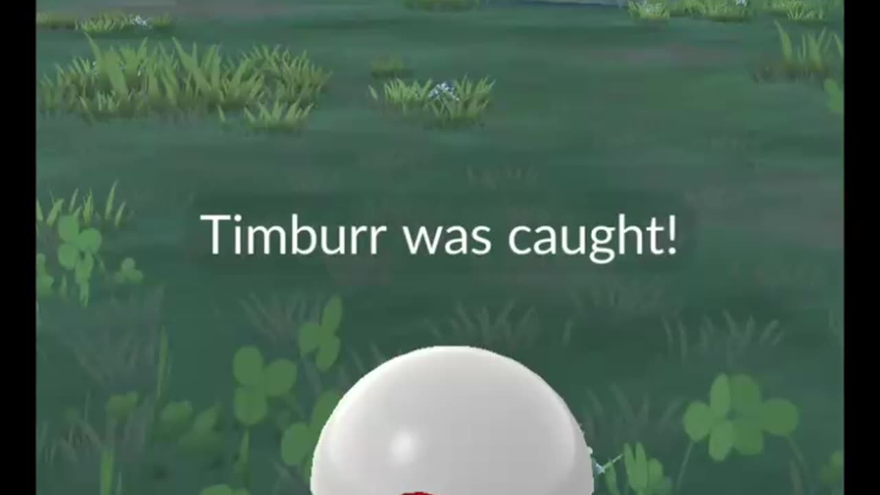 Pokémon GO-Shadow Timburr