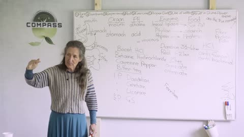 Barbara O'Neil - #27 A Journey / Gastronomical Tract Pt 1