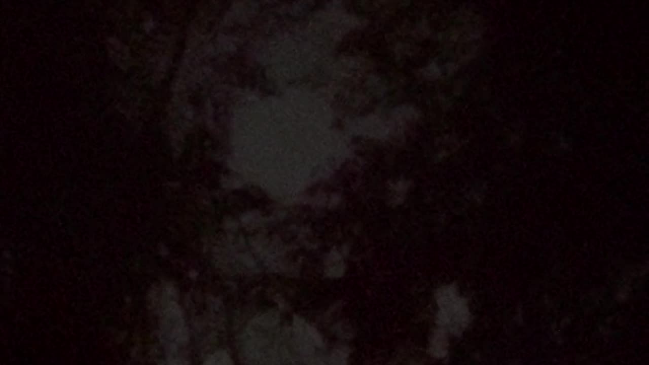 👁️😱 Vanishing Light Caught on Camera—Where Did It Go? UFO Sighting | TheTruthAbove