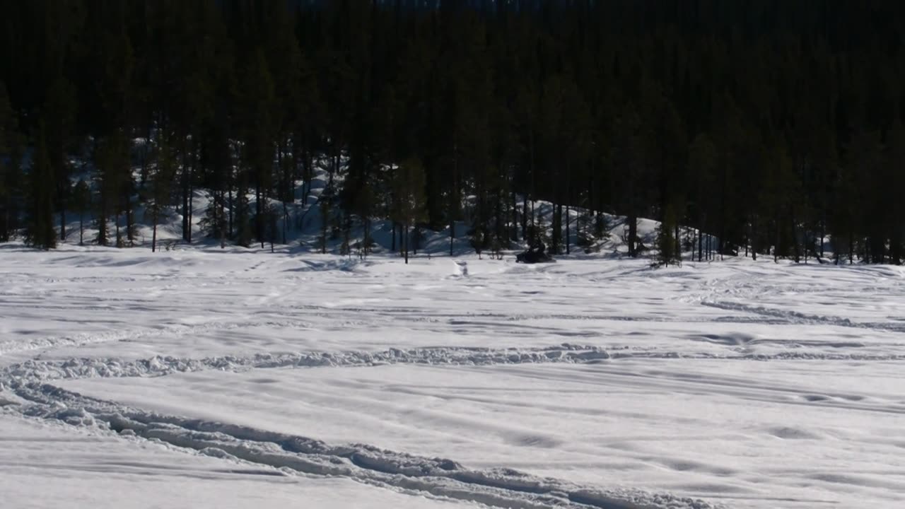 Snowmobile Yamaha