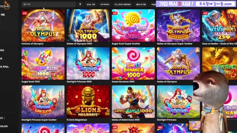 슬롯강사들 3부 수달 시작합니다!