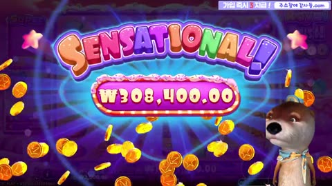 슬롯강사들 3부 수달 시작합니다!