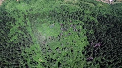 Soft Strings Lofi Flow