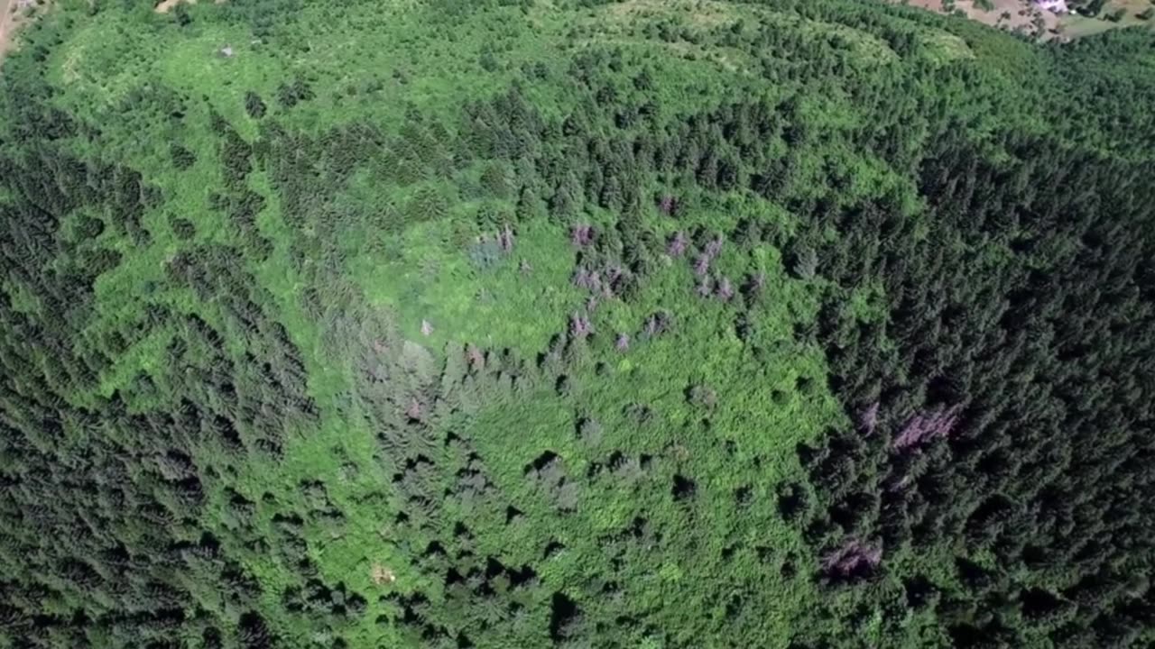 Soft Strings Lofi Flow