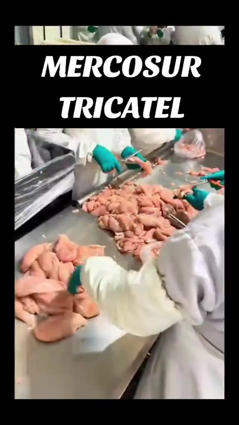 L'AILE OU LA CUISSE - TRICATEL - ON Y EST !.mp4