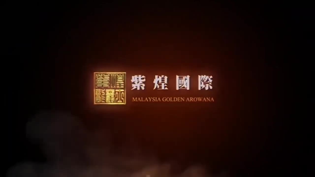 【龍爵士】千問千答 Q130 養龍魚一定要用滴流盒或底濾嗎