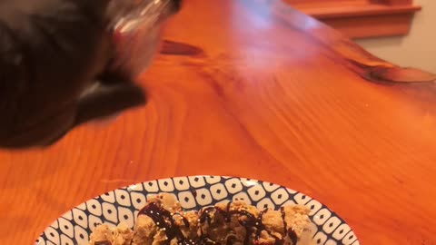 Wicked Whoopie Pie Sundae