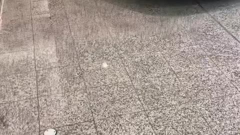 🤯💨 This McLaren 720S's Rev Sound is PURE Symphony! | LuxurySportsCars