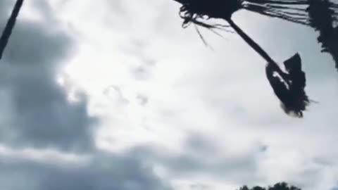 👽🛸 Creepy UFO Footage That Will Send Shivers Down Your Spine | TheTruthAbove