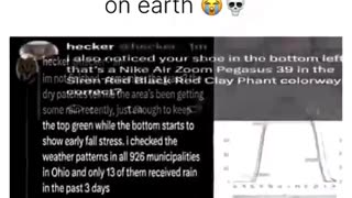News Break